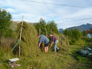 Haymaking on Langoya, Versteralen